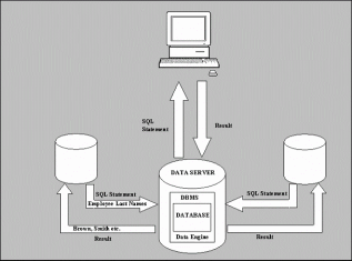 DBMS